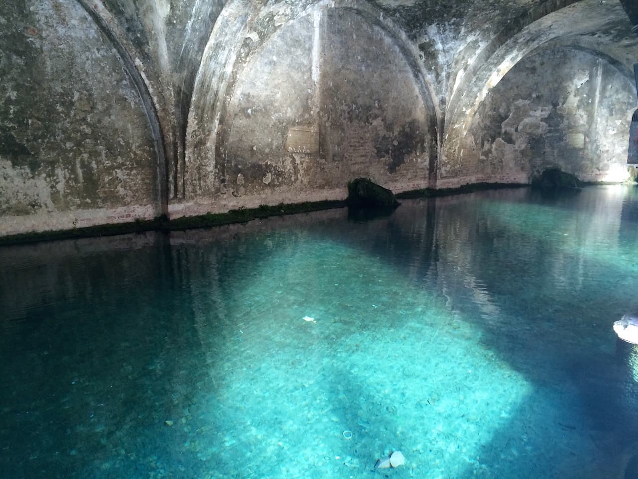 L'acqua di Fontebranda, una delle fonti più belle di Siena