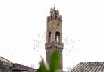 Torre del Palazzo dei Priori di Montalcino